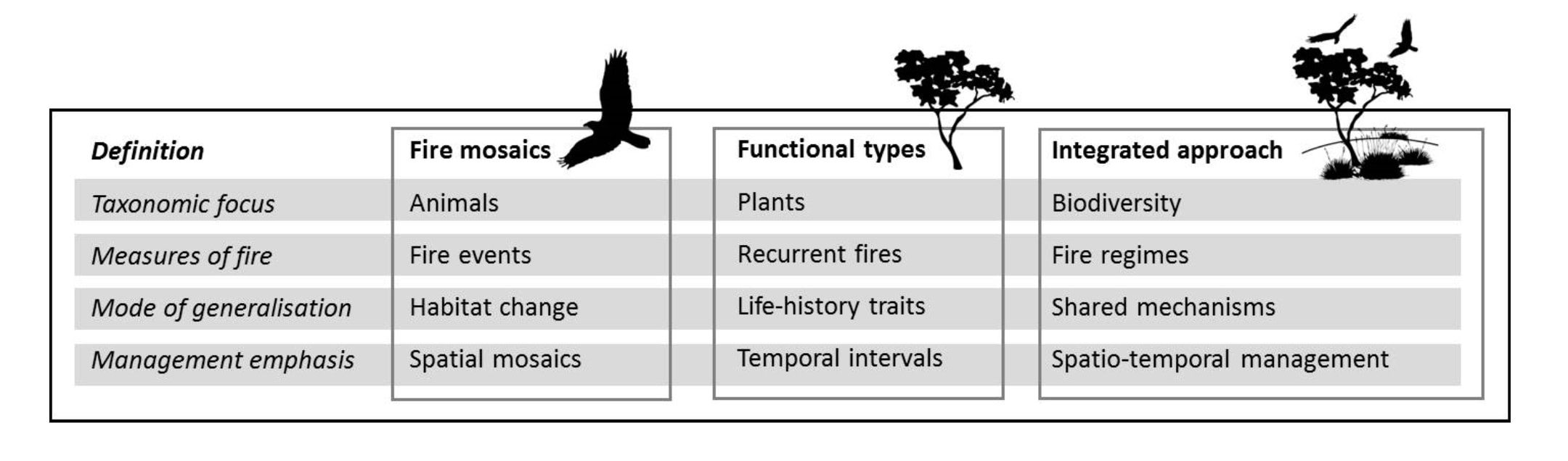Bridging the animal and plant divide in fire ecology - DisruptEcology Lab
